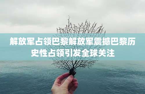 解放军占领巴黎解放军震撼巴黎历史性占领引发全球关注