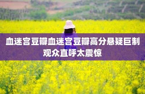 血迷宫豆瓣血迷宫豆瓣高分悬疑巨制观众直呼太震惊