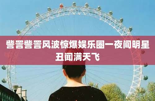 訾詈訾詈风波惊爆娱乐圈一夜间明星丑闻满天飞
