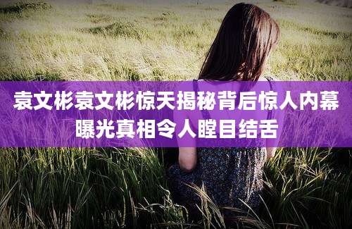 袁文彬袁文彬惊天揭秘背后惊人内幕曝光真相令人瞠目结舌