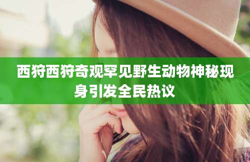 西狩西狩奇观罕见野生动物神秘现身引发全民热议