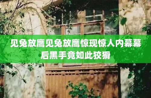 见兔放鹰见兔放鹰惊现惊人内幕幕后黑手竟如此狡猾
