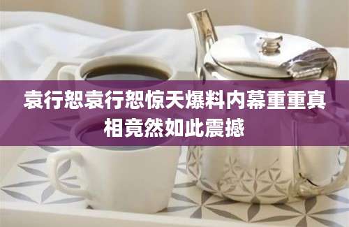 袁行恕袁行恕惊天爆料内幕重重真相竟然如此震撼