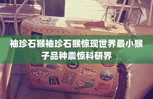 袖珍石猴袖珍石猴惊现世界最小猴子品种震惊科研界