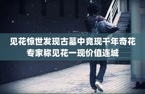 见花惊世发现古墓中竟现千年奇花专家称见花一现价值连城