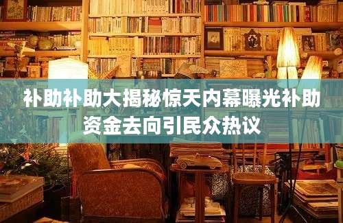 补助补助大揭秘惊天内幕曝光补助资金去向引民众热议