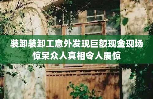 装卸装卸工意外发现巨额现金现场惊呆众人真相令人震惊