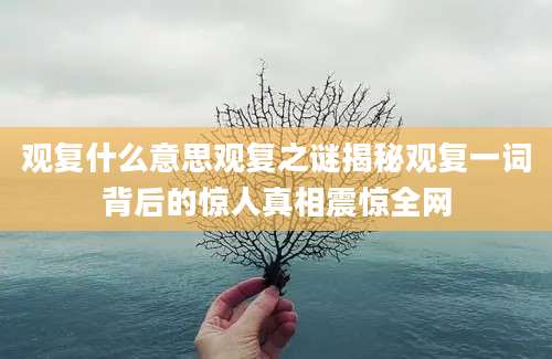 观复什么意思观复之谜揭秘观复一词背后的惊人真相震惊全网