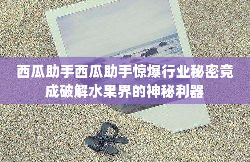 西瓜助手西瓜助手惊爆行业秘密竟成破解水果界的神秘利器