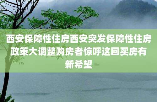 西安保障性住房西安突发保障性住房政策大调整购房者惊呼这回买房有新希望