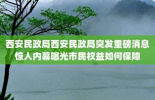 西安民政局西安民政局突发重磅消息惊人内幕曝光市民权益如何保障