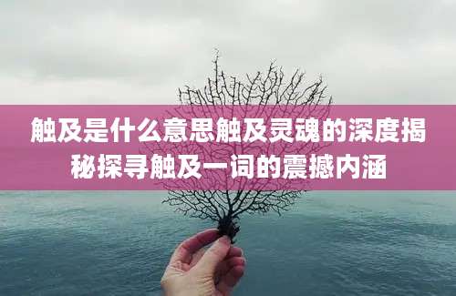 触及是什么意思触及灵魂的深度揭秘探寻触及一词的震撼内涵