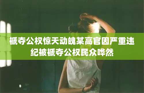 褫夺公权惊天动魄某高官因严重违纪被褫夺公权民众哗然
