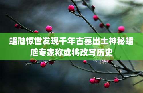 蟠虺惊世发现千年古墓出土神秘蟠虺专家称或将改写历史