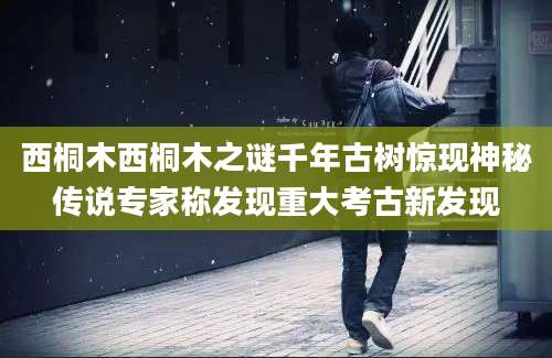 西桐木西桐木之谜千年古树惊现神秘传说专家称发现重大考古新发现