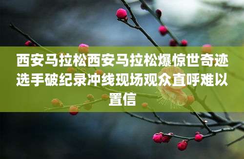 西安马拉松西安马拉松爆惊世奇迹选手破纪录冲线现场观众直呼难以置信