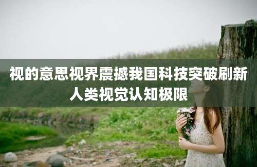 视的意思视界震撼我国科技突破刷新人类视觉认知极限