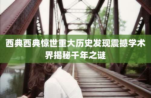 西典西典惊世重大历史发现震撼学术界揭秘千年之谜