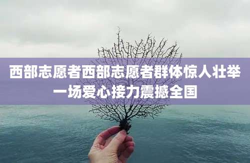 西部志愿者西部志愿者群体惊人壮举一场爱心接力震撼全国