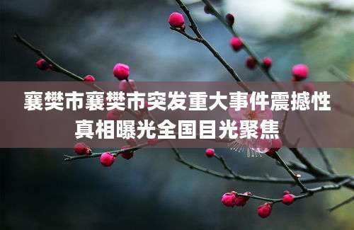 襄樊市襄樊市突发重大事件震撼性真相曝光全国目光聚焦