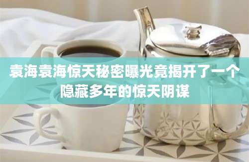 袁海袁海惊天秘密曝光竟揭开了一个隐藏多年的惊天阴谋