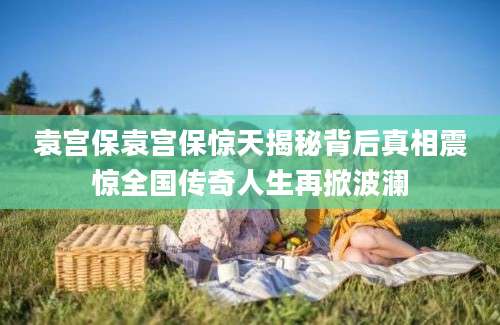 袁宫保袁宫保惊天揭秘背后真相震惊全国传奇人生再掀波澜