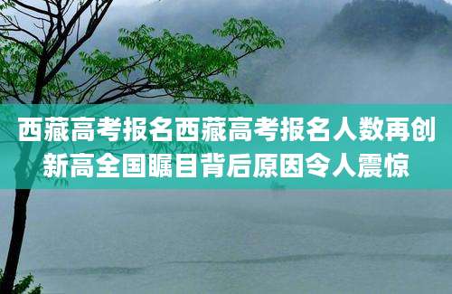 西藏高考报名西藏高考报名人数再创新高全国瞩目背后原因令人震惊