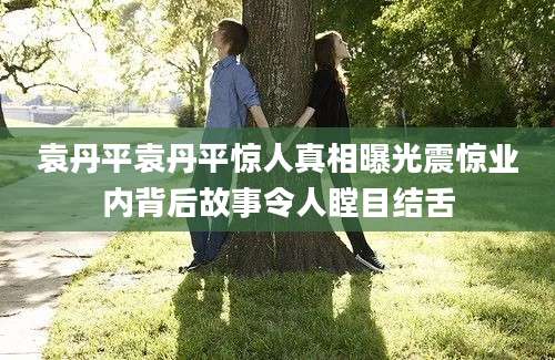 袁丹平袁丹平惊人真相曝光震惊业内背后故事令人瞠目结舌