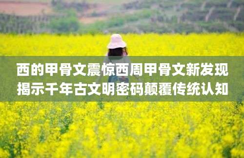 西的甲骨文震惊西周甲骨文新发现揭示千年古文明密码颠覆传统认知