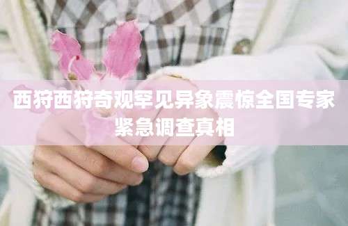 西狩西狩奇观罕见异象震惊全国专家紧急调查真相