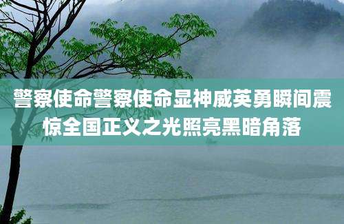 警察使命警察使命显神威英勇瞬间震惊全国正义之光照亮黑暗角落