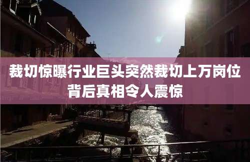 裁切惊曝行业巨头突然裁切上万岗位背后真相令人震惊