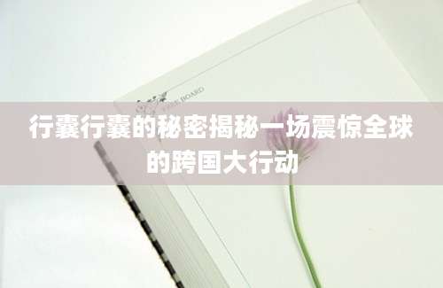 行囊行囊的秘密揭秘一场震惊全球的跨国大行动