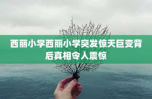 西丽小学西丽小学突发惊天巨变背后真相令人震惊