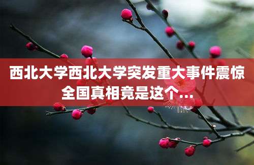 西北大学西北大学突发重大事件震惊全国真相竟是这个...