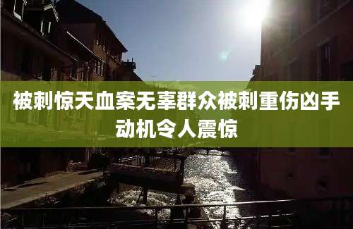 被刺惊天血案无辜群众被刺重伤凶手动机令人震惊
