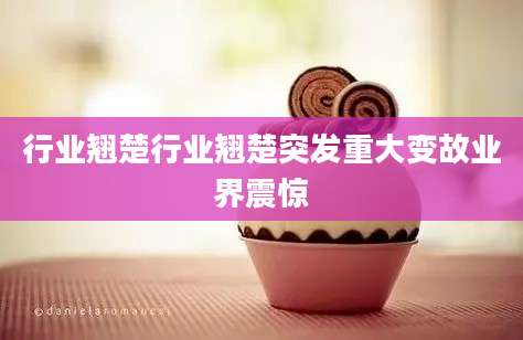 行业翘楚行业翘楚突发重大变故业界震惊