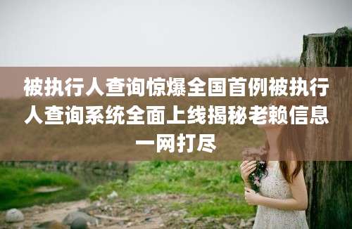 被执行人查询惊爆全国首例被执行人查询系统全面上线揭秘老赖信息一网打尽