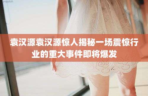 袁汉源袁汉源惊人揭秘一场震惊行业的重大事件即将爆发