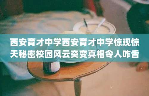 西安育才中学西安育才中学惊现惊天秘密校园风云突变真相令人咋舌
