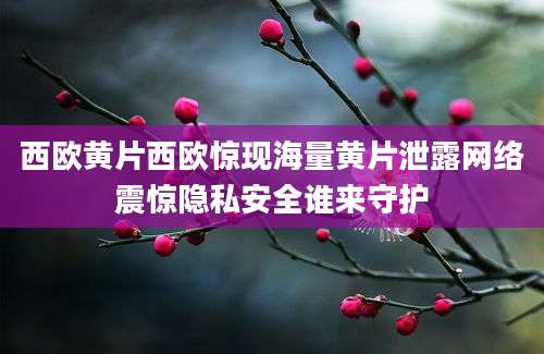 西欧黄片西欧惊现海量黄片泄露网络震惊隐私安全谁来守护