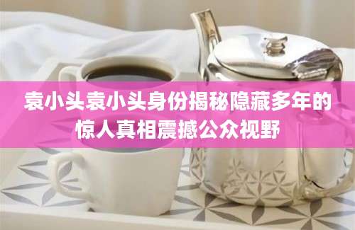 袁小头袁小头身份揭秘隐藏多年的惊人真相震撼公众视野
