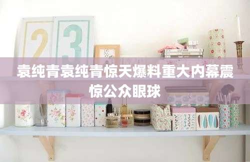 袁纯青袁纯青惊天爆料重大内幕震惊公众眼球