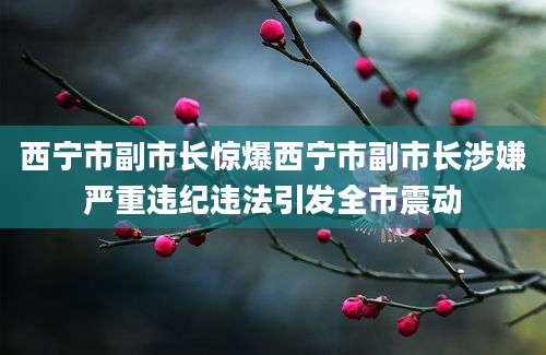 西宁市副市长惊爆西宁市副市长涉嫌严重违纪违法引发全市震动