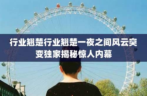 行业翘楚行业翘楚一夜之间风云突变独家揭秘惊人内幕
