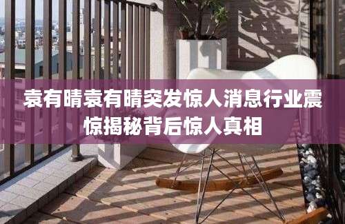 袁有晴袁有晴突发惊人消息行业震惊揭秘背后惊人真相