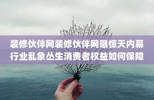 装修伙伴网装修伙伴网曝惊天内幕行业乱象丛生消费者权益如何保障