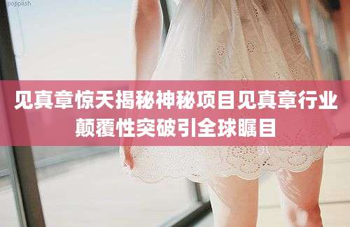 见真章惊天揭秘神秘项目见真章行业颠覆性突破引全球瞩目
