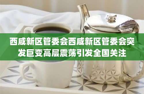 西咸新区管委会西咸新区管委会突发巨变高层震荡引发全国关注
