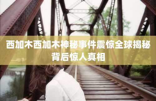 西加木西加木神秘事件震惊全球揭秘背后惊人真相